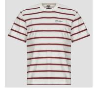 T-shirt hommes Dickies YORK STRIPE TEE SS EGRET Blanc EU L