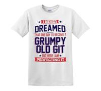T-shirt humoristique pour homme avec inscription « Perfecting Grumpy Old Git », T-shirt Noir/blanc, 3XL