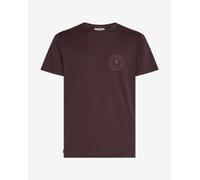 T-shirt Icebreaker 150 Tech Lite Hike Naturally manches longues marron - L