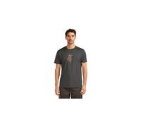 T shirt icebreaker 150 tech lite tee bear catch gris homme