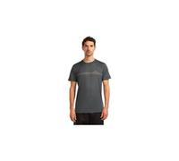 T shirt icebreaker 150 tech lite tee range stripes gris homme