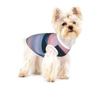 T-shirt imprimé Lake Under Sunset pour petits chiens - Chemise tendance respirante sans manches pour petits chiens