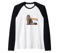 T-Shirt Le côté obscur du Maine Coon pour Les Amoureux des Chats Manche Raglan
