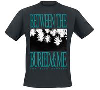 T-Shirt Manches courtes de Between The Buried And Me - Palm Stack - S à XXL - pour Homme - noir XL