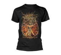 T-Shirt Manches courtes de Cattle Decapitation - Vitruvian - M - pour Homme - noir M
