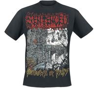 T-Shirt Manches courtes de Sentenced - Shadows Of The Past - S à XXL - pour Homme - noir M