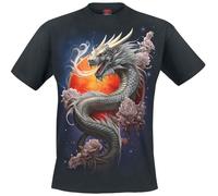 Spiral Sun Dragon Homme T-Shirt Manches Courtes Noir XXL 100% Coton Regular/Coupe Standard