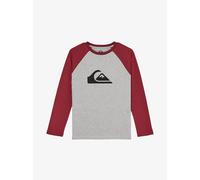 Quiksilver Ev Comp Raglan pour 12A Gris