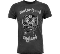 T-shirt officiel Motorhead Angleterre pour hommes Amplified NS4470 (S) (Anthracite)