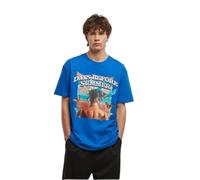 T-shirt oversize Mister Tee Days Before Summer Bleu S