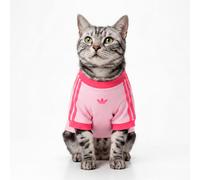 Adidas Originals Pet Cali Dog T-shirt Rose 2XL