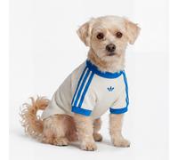 Adidas Originals Pet Cali Dog T-shirt Beige L