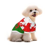 T-shirt pour chien avec drapeau du Pays de Galles - Vêtement pour chiot et animal domestique - Débardeur élastique - Pour chiens et chats - Joli pull respirant et doux - Taille S