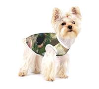 T-shirt pour chien de qualité supérieure Motif libellules au pays des bonbons - 100 % coton doux Ropa Para Perros, parfait pour les chiens de petite et moyenne taille, chemise élégante et confortable
