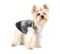 T-shirt pour chien Mysterious Blue Pupils Premium - 100 % coton doux Ropa Para Perros, parfait pour les chiens de petite et moyenne taille, chemise élégante et confortable pour chiens L