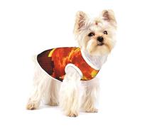T-shirt pour chien Sunset Panorama Premium - 100 % coton doux Ropa Para Perros, parfait pour les chiens de petite et moyenne taille, chemise élégante et confortable pour chiens L