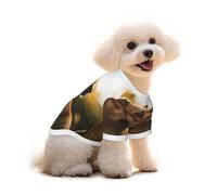 T-shirt pour chien « The Dog Standing on The Grass Under The Sunset » - Vêtements pour chiots et animaux de compagnie - Débardeur élastique - Pour chiens et chats - Joli pull respirant et doux