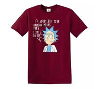 T-shirt pour homme « I'm Sorry But Your Opinion » Rick and Morty Spoof American Anime Top, T-shirt marron, M