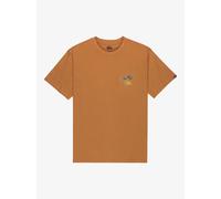 Quiksilver Evo Learning From Nature Short Sleeve T-shirt Marron S Homme