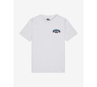 T-shirt Quiksilver Palm Horizon manches courtes blanc bleu vert garçon - 8