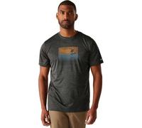 T-Shirt Regatta Fingal IX Hommes