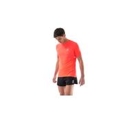 Compressport T-shirt Pro Racing Homme XL