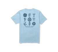 T-shirt Salty Crew Coral Head Bleu L