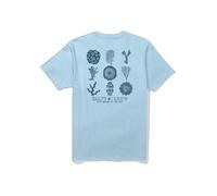 T-shirt Salty Crew Coral Head L