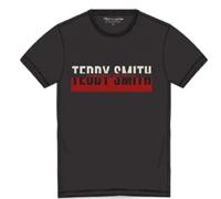 T-shirt Teddy Smith Gordon Marron S