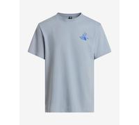 The North Face T-shirt Standard Mountain Celebration Graphic Unisexe Frost Grey Taille L male