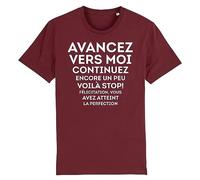 T Shirt Vous Avez atteint la Perfection - pour Homme - Imprimé en France - Coton 100% Bio - Cadeau Anniversaire Humour Original Rigolo (Bordeaux, M)