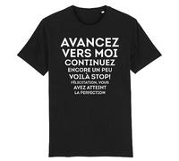 T Shirt Vous Avez atteint la Perfection - pour Homme - Imprimé en France - Coton 100% Bio - Cadeau Anniversaire Humour Original Rigolo (Noir, L)