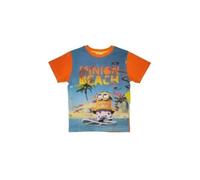 T-Shirts à Manches Courtes Minions - Tee-Shirt Manches Courtes Minions (FR/ES, Âge, 5 Ans, Taille Normale, T-Shirt Manches Courtes Minions-A)