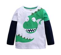 T-shirts graphiques à manches longues et col rond pour garçons - T-shirts mignons dinosaures d'été décontractés - Vêtements d'automne pour enfants, blanc, 2-3 ans