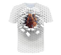 T-Shirts Trou Wall Pink Floyd Animal Impression Numérique 3D Loose Couple Short Sleeve-A-0028, M