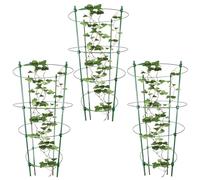 T0mato Treillis - Piquets de support pour t0mato | 3 piquets hauts pour | Piquets pour | Fournitures de jardinage pour fleurs, légumes, fruits, vignes