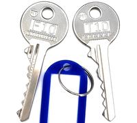 ®T10-PASS | 2 Clés Pass PTT T10 + F10 | Usinage laser haute précision| Ouverture de boites aux lettres individuelles et batteries | ATTENTION ! REGARDEZ LA VIDEO AVANT VOTRE ACHAT.