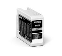 T46S7 GRIS ANTHRACITE 25ml