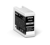 T46S9 GRIS ANTHRACITE 25ml