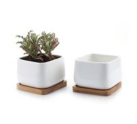 T4U 10cm Pot de Succulent en Céramique avec Plateau en Bambou Blanc Lot de 2, Cactus Plante Planteur Cache Pot Jardinière Contenant Cadeau pour Anniversaire Mariage