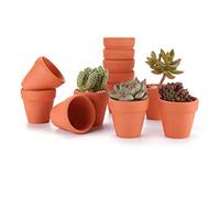 T4U 12pcs Pots de Fleurs Rouge Intérieur Extérieur 5 cm, Mini Pot en Terre Cuite de la Famille des Cactus pour Décoration Horticole Mariage, Maison, Jardin et Chambre