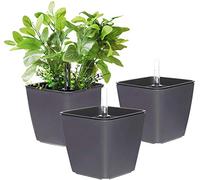 T4U 13.5CM Auto-Arrosage Pot de Fleur en Plastique avec Indicateur de Niveau d'eau - Lot de 3 Gris, Pot pour Succulent Cactus Herbes Jardinnière Conteneur, Décor Moderne pour Maison Bureau