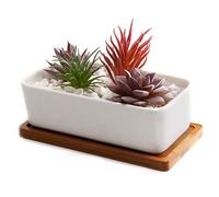 T4U 16.5cm Pot de Succulent en Céramique Blanc avec Plateau en Bambou, Boîte de Fleur Cactus Plante Planteur Cache Pot Jardinière Contenant Cadeau Anniversaire Mariage