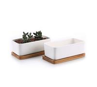 T4U 17cm Pot de Succulent en Céramique avec Plateau en Bambou Blanc Lot de 2, Cactus Plante Planteur Cache Pot Jardinière Contenant Cadeau pour Anniversaire Mariage