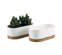 T4U ComSaf 17cm Pot de Succulent en Céramique avec Plateau en Bambou Blanc Lot de 2, Cactus Plante Planteur Cache Pot Jardinière Contenant Décoration de Maison Bureau