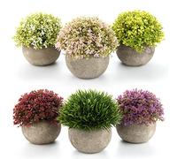 T4U Lot de 6 Fausse Plante colorées d’intérieur, Plante Artificielle Interieur décorative pour Bureau et Maison, idéale pour Ceux Qui souhaitent décorer Bureaux et espaces intérieurs sans Entretien