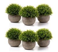 T4U Petites Plantes Artificielles d’Intérieur Vertes en Pot Lot de 6
