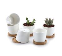 T4U Pot de Fleur Interieur Blanc Rond avec Soucoupe, Cache Pot ceramique pour Cactus, Lot de 6, pour Usage dédié aux Amateurs de Plantes, décoration Bureau, étagère et Rebord de fenêtre