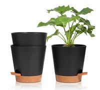 T4U Pots de Fleurs Auto-Arrosants 16,5 cm Lot de 3 en Plastique Noir