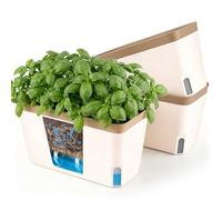 T4U Pots de Fleurs Auto-Arrosants Rectangulaires 27 cm Lot de 3